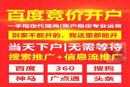 探索SEM竞价优化：成功企业的广告策略